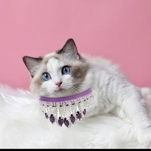 Purple rhinestone bling pet collar